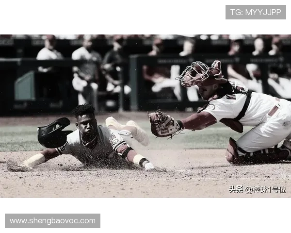 CPB 上海测试会开锣：名将与新秀共逐棒球梦